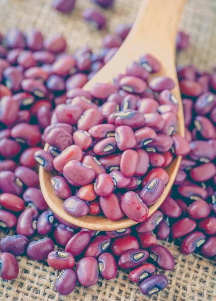 Pile of Adzuki beans — Stock fotografie