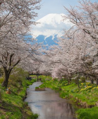 Dağ fuji görünümü