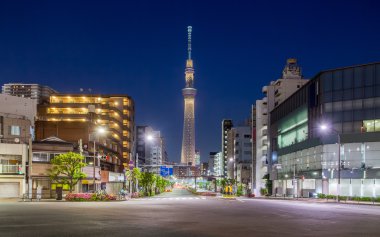 Tokyo binalar görünümü