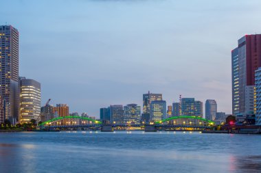 Tokyo şehir manzarası