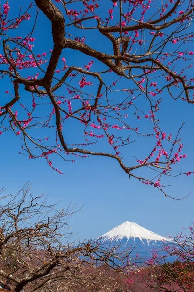 Видом на гори Фудзі — стокове фото