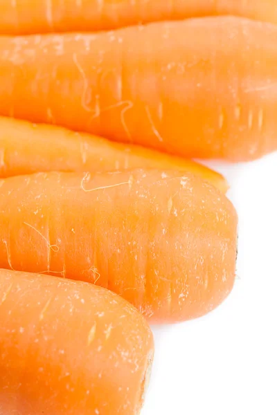 Fresh and sweet carrots — Stock Photo, Image