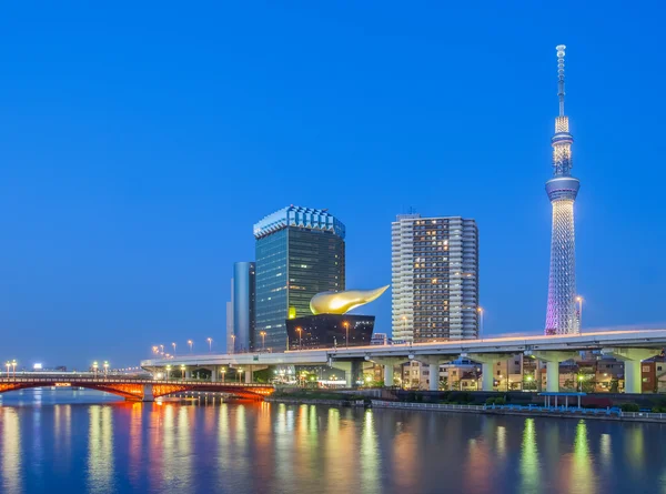 Uitzicht op de stad Tokyo — Stockfoto