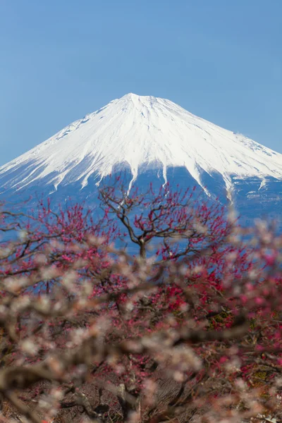 Vue sur la montagne Fuji — Photo