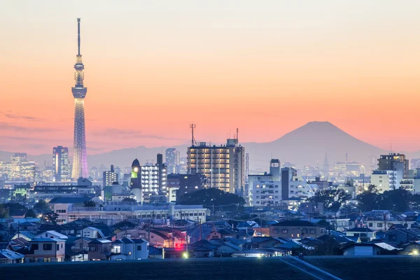 Widok na miasto Tokio — Zdjęcie stockowe