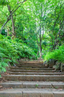 Yeşil park taş merdiven
