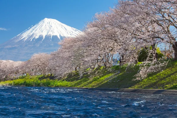 Fuji bergsutsikt — Stockfoto