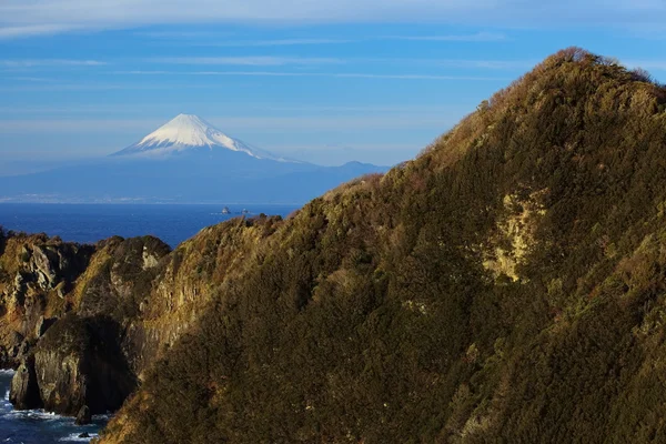 Dağ fuji görünümü