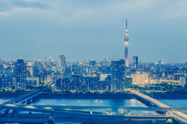 Tokyo şehir manzarası