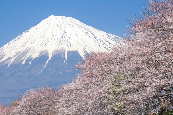 Montagna Fuji vista — Foto Stock