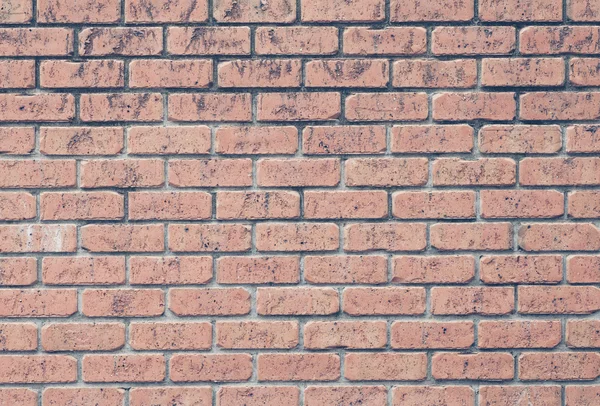 Brick wall texture — Stock Photo, Image