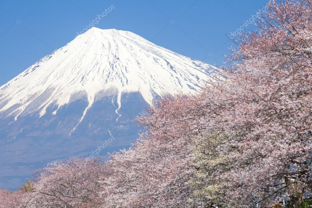 Mountain Fuji view