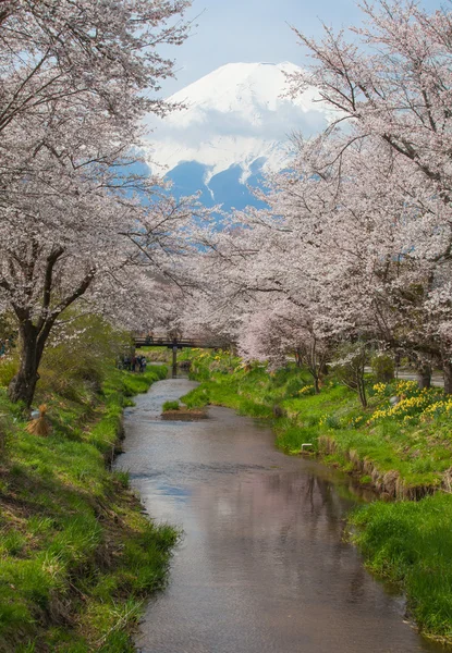 Bergfuji-Blick — Stockfoto