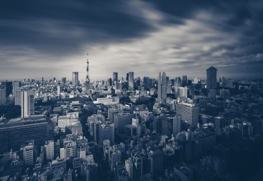 Tokyo şehir manzarası