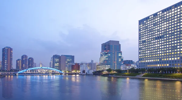 Vista sulla città di Tokyo — Foto Stock