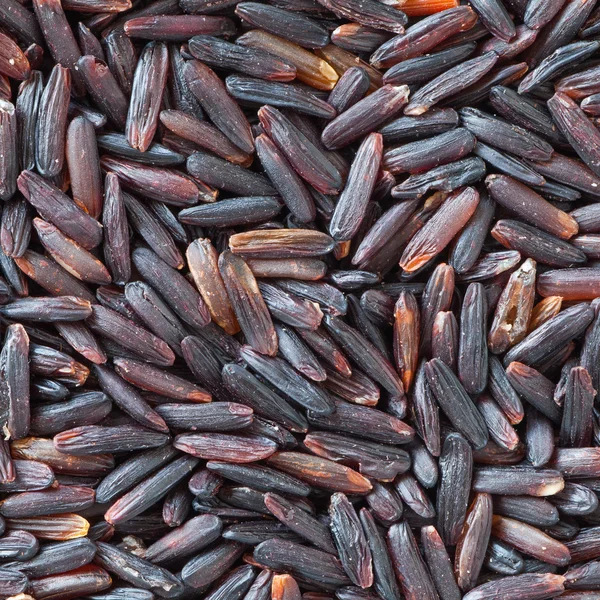 Főtt barna rizs — Stock Fotó
