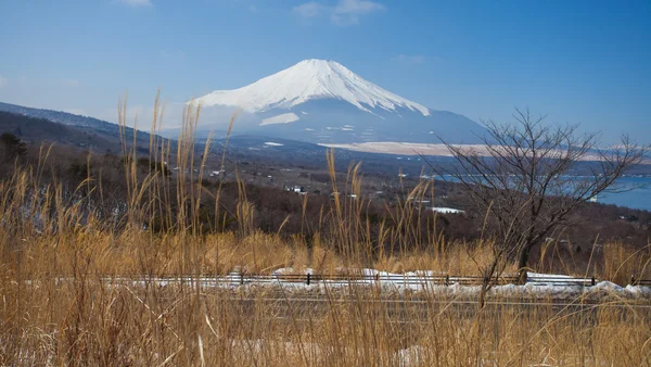 富士山景 — 图库照片