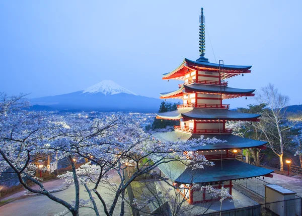 Montagna Fuji vista — Foto Stock