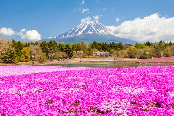 Montanha Fuji vista — Fotografia de Stock