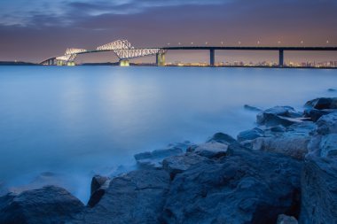 Tokyo bay görünümü