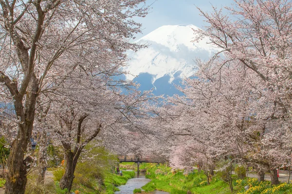Mountain Fuji view — Stock Photo, Image