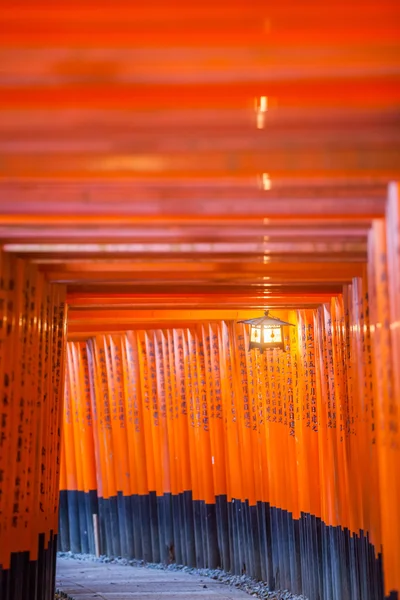 Fushimi Inari Shrine — Stock fotografie