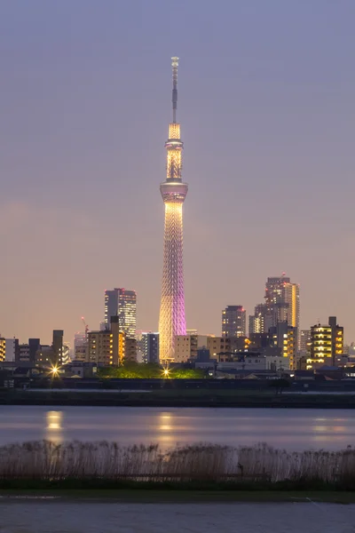 Uitzicht op de stad Tokyo — Stockfoto