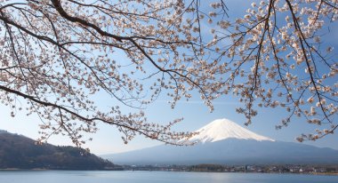 Dağ fuji görünümü