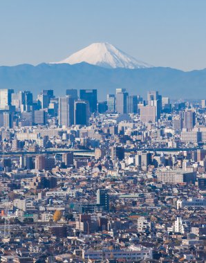 Dağ fuji görünümü