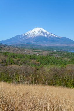 Dağ fuji görünümü