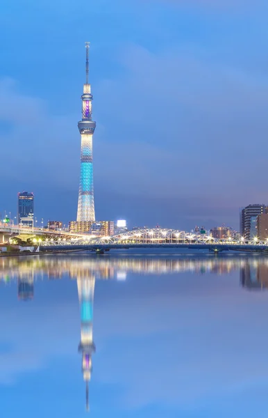 Vista sul fiume Tokyo — Foto Stock