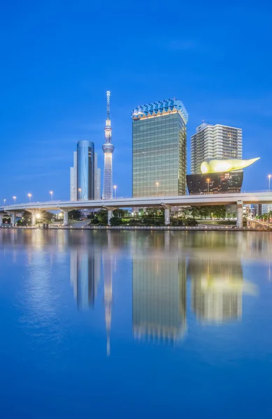 東京スカイツリー ビュー — ストック写真