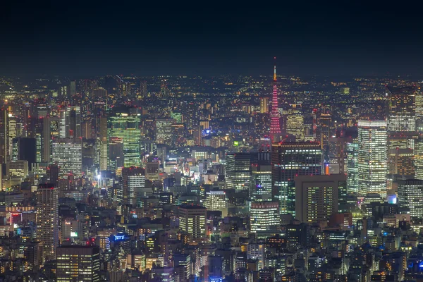 Uitzicht op de stad Tokyo — Stockfoto