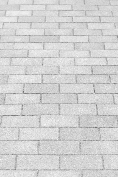 Carreaux de sol fond sans couture — Photo