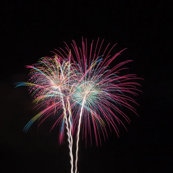 Colorful fireworks on black — Stock Photo, Image