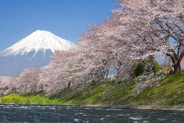 Vista a la montaña Fuji — Foto de Stock