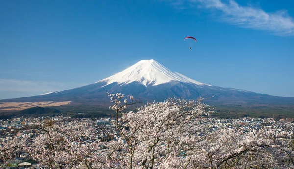 富士山景 — 图库照片