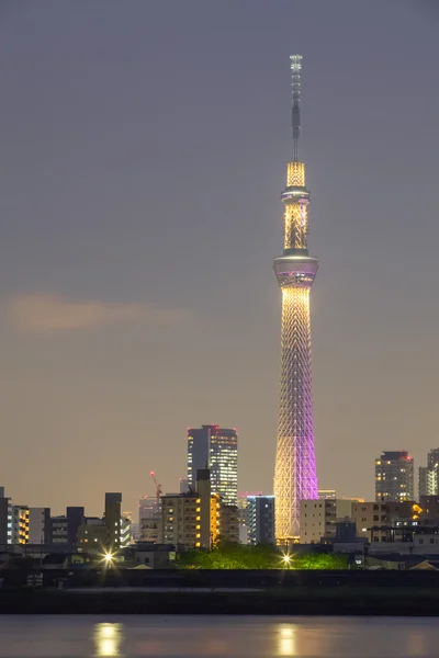 Vista sulla città di Tokyo — Foto Stock