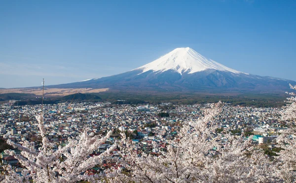 富士山景 — 图库照片