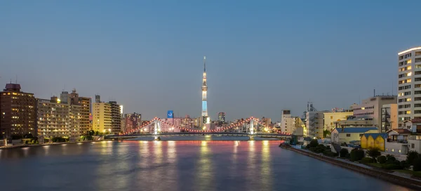 Tokyo flodutsikt — Stockfoto
