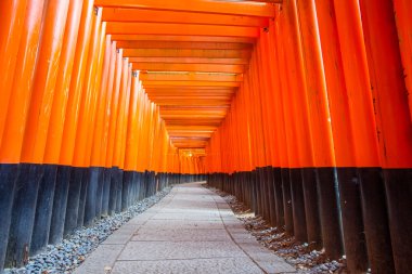 Fushimi Inari Tapınak