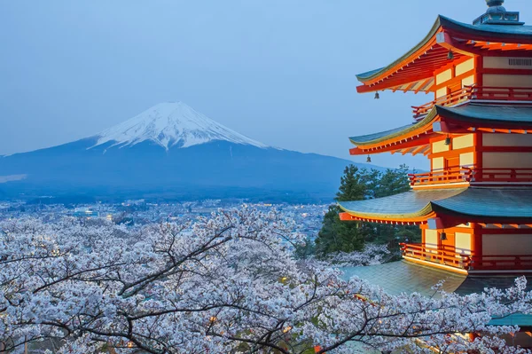 Видом на гори Фудзі — стокове фото