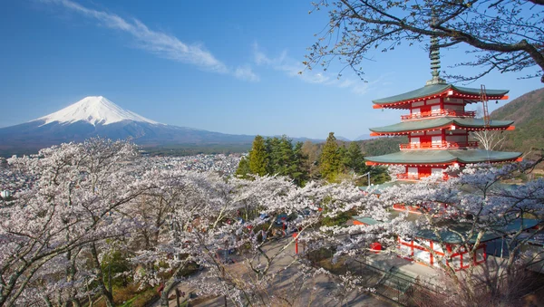 Montanha Fuji vista — Fotografia de Stock