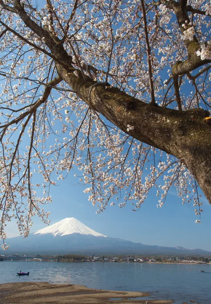 Vista a la montaña Fuji —  Fotos de Stock