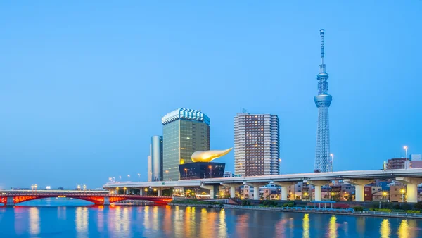Pohled na město Tokio — Stock fotografie