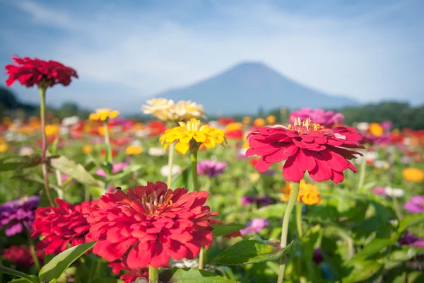 Vista a la montaña Fuji — Foto de Stock