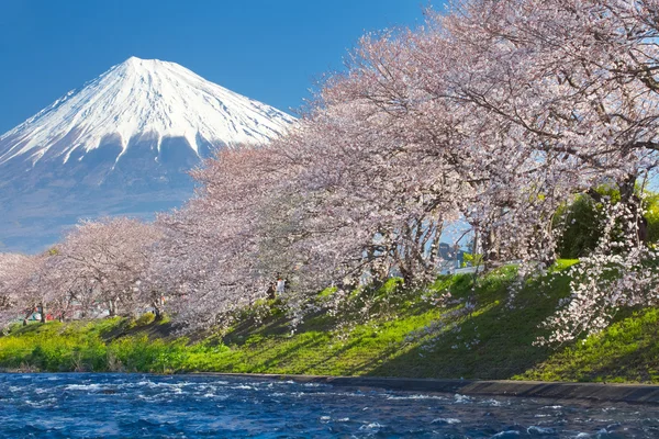 Montanha Fuji vista — Fotografia de Stock