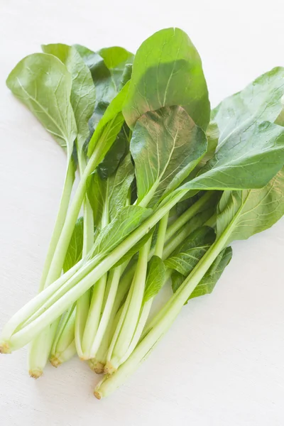 Kind of Chinese cabbage — Stock Photo, Image