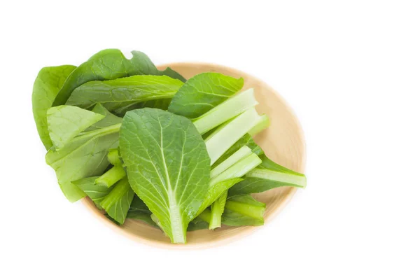 Kind of Chinese cabbage — Stock Photo, Image