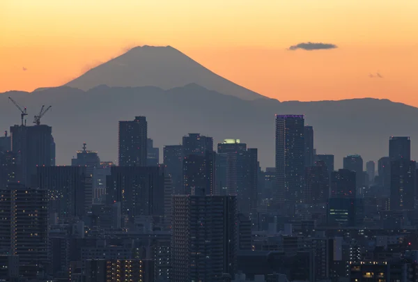Mount Fuji i Tokio miasto — Zdjęcie stockowe